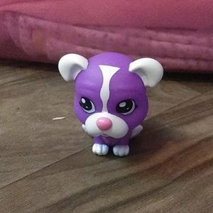 Little animals